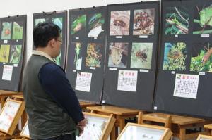 昆蟲展98.3.25，開新視窗